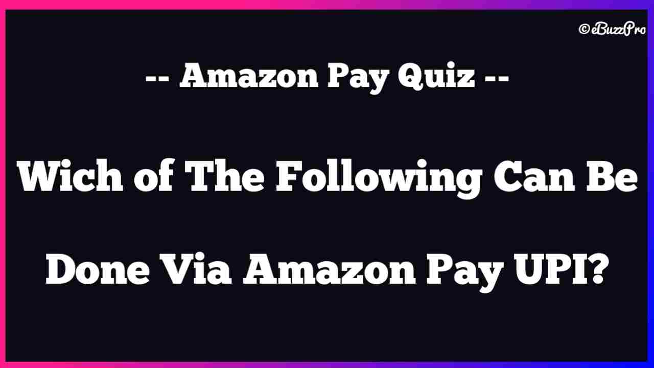 Which of These is Most Accurate For Amazon Pay Later?