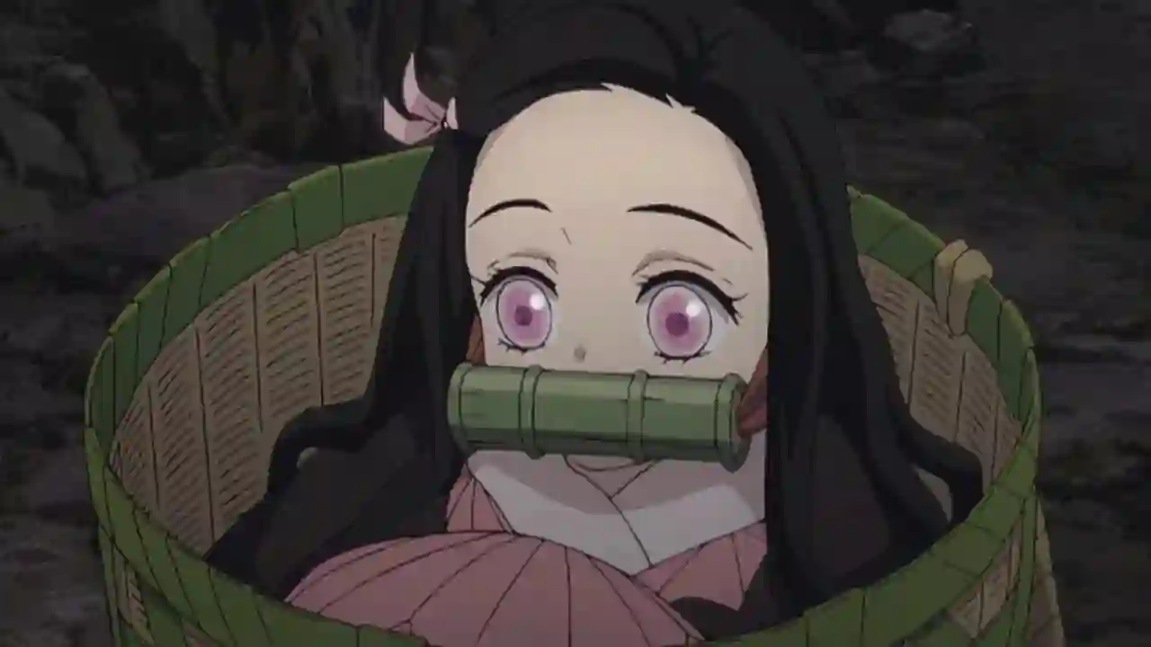 Nezuko Kamado, Wiki