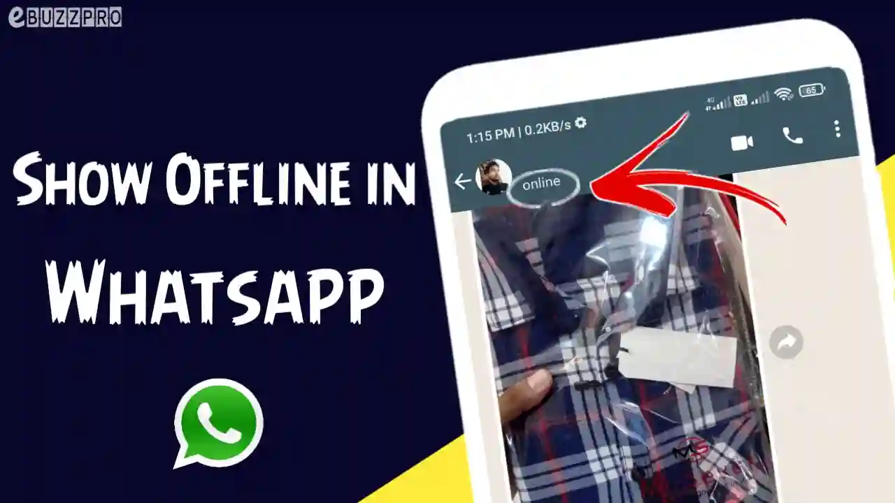 How to Show Offline in WhatsApp When I am Online?