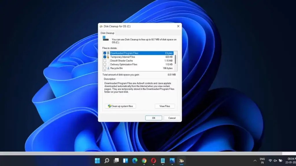 How to Run Disk Cleanup in Windows 11?