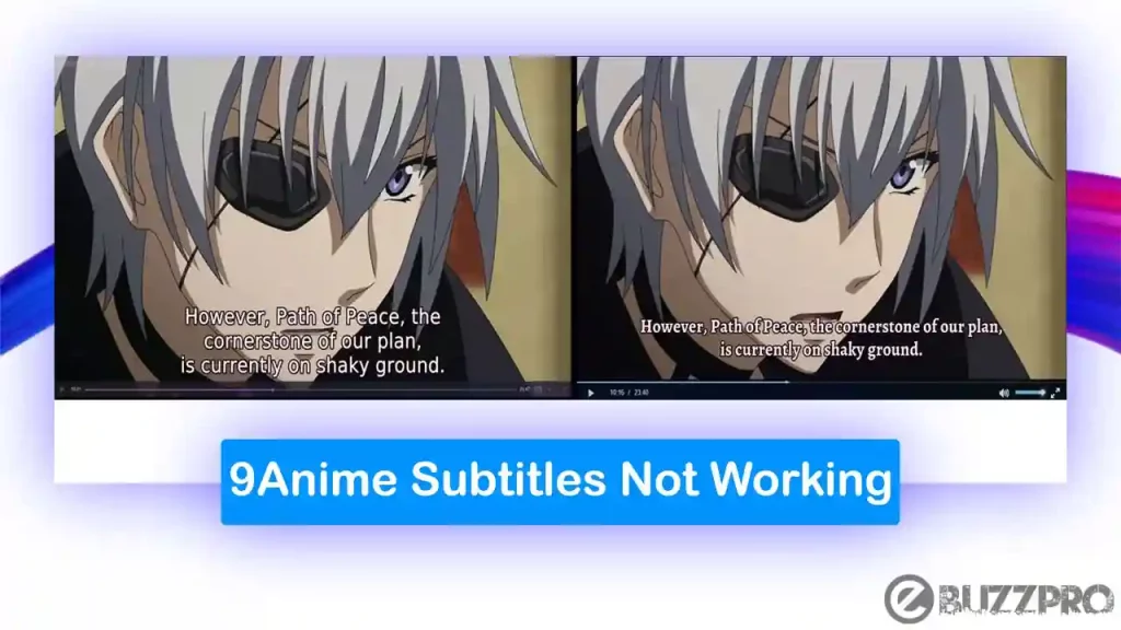[Fix] 9Anime Subtitles Not Working or Not Showing Up