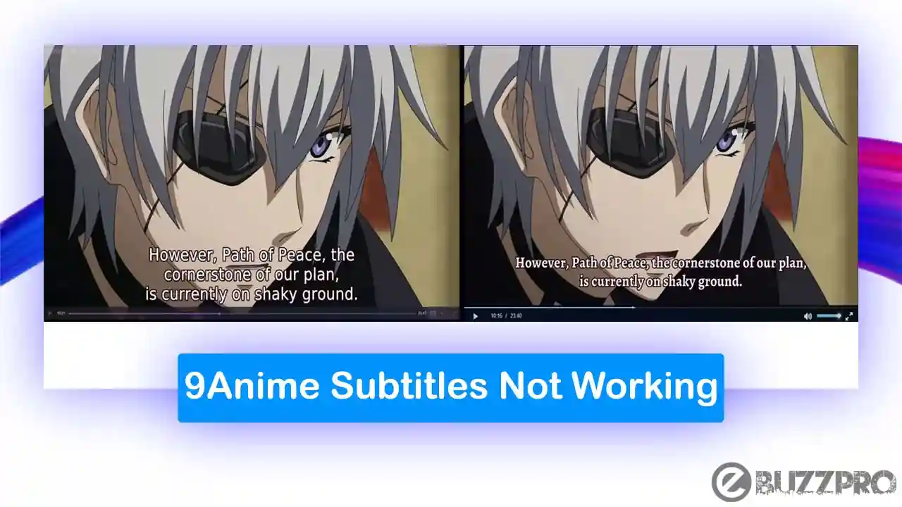 Fix] 9Anime Subtitles Not Working or Not Showing Up