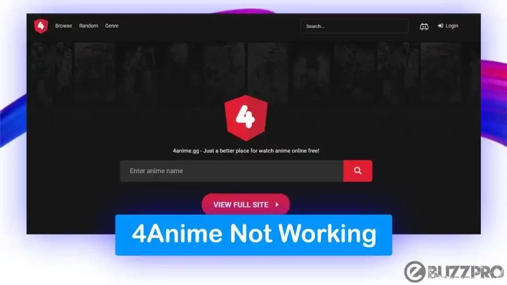 4Anime Not Working | Reasons & Fixes