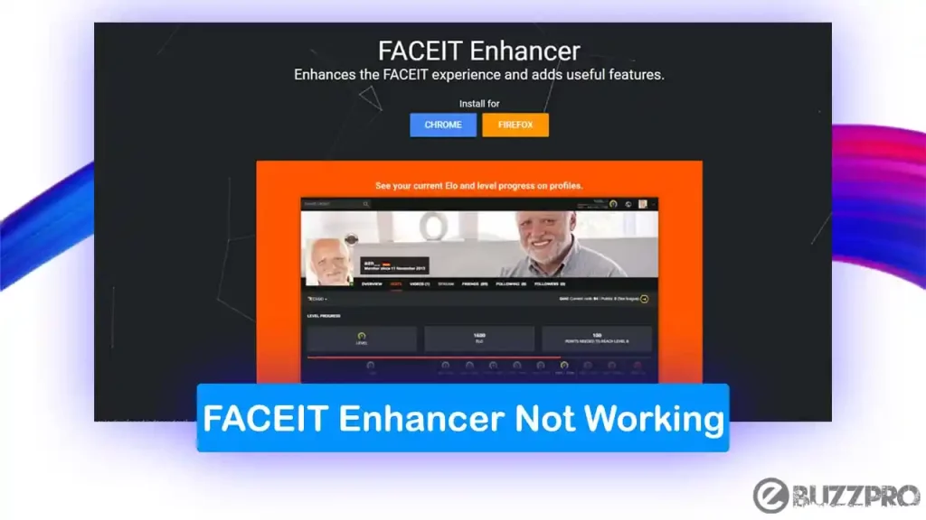 [Fix] FACEIT Enhancer Not Working or not Showing Elo