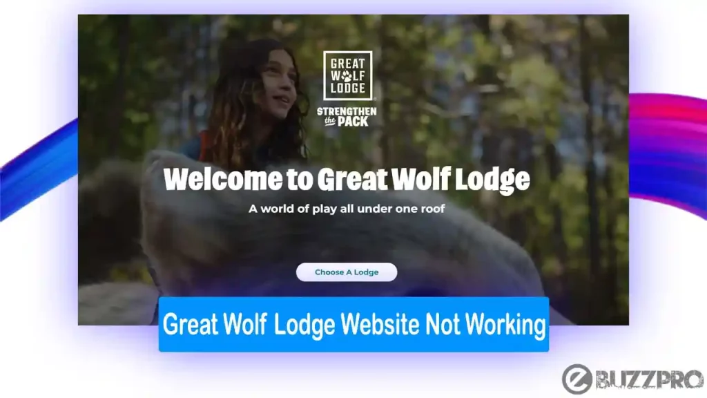 Great Wolf Lodge Website Not Working | Reason & Fixes