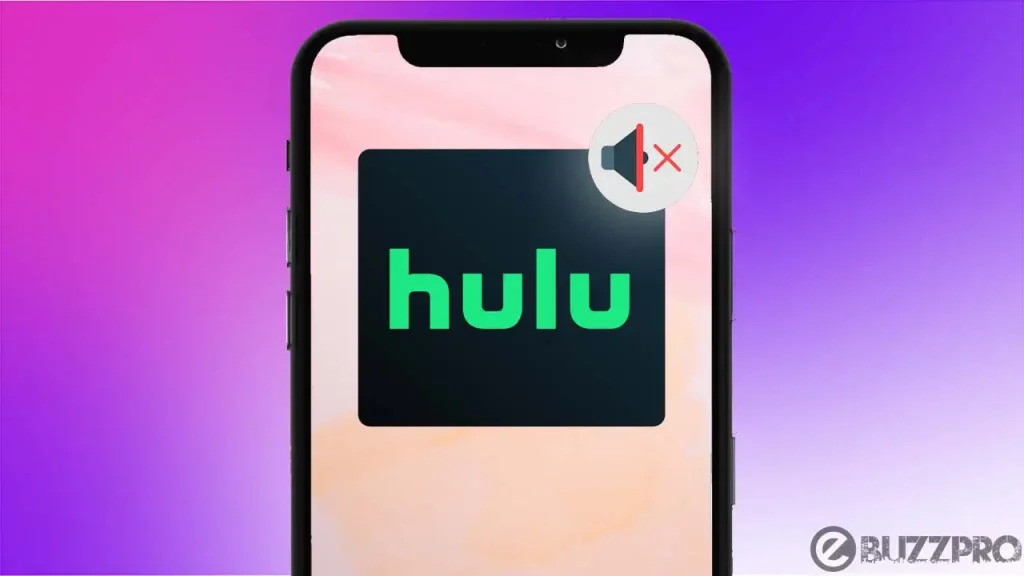 Fix 'Hulu Sound Not Working on iPhone' Problem