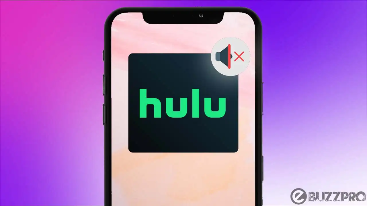 Fix 'Hulu Sound Not Working on iPhone' Problem
