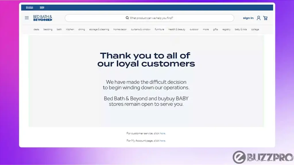 Bed Bath and Beyond Website Not Working | Reasons & Fixes