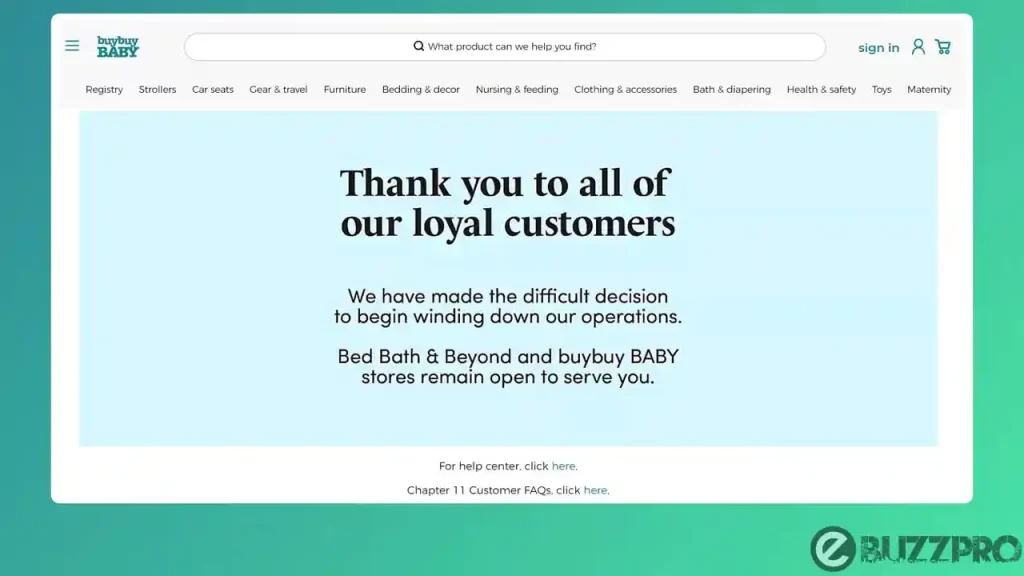 Buy Buy Baby Website Not Working | Reasons & Fixes
