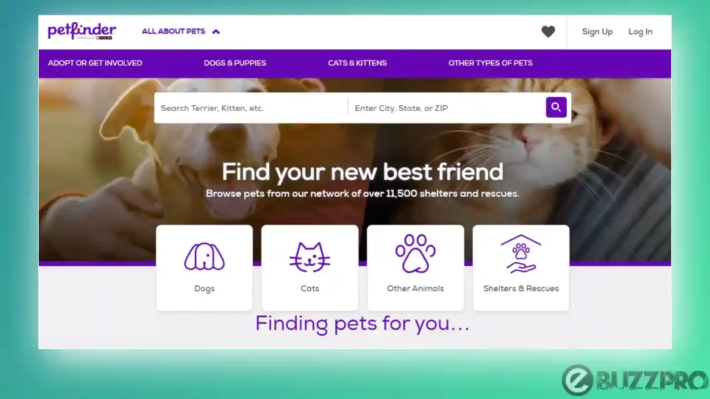 Petfinder Not Working | Reasons & Fixes
