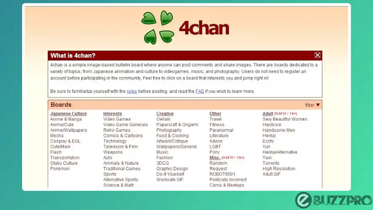 4chan Not Working | Reasons & Fixes