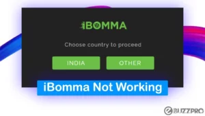 ibomma not working